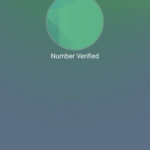 Meet your Posher, Flip